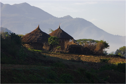 Landscape with wooden huts, Ethiopia image