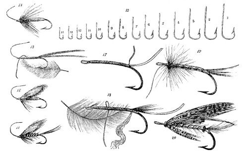 Hooks and Lures image