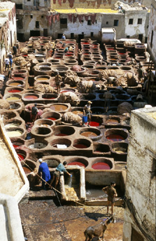Leather tannery, Fez, Morocco image
