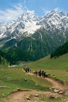 Himalayas, Kashmir image