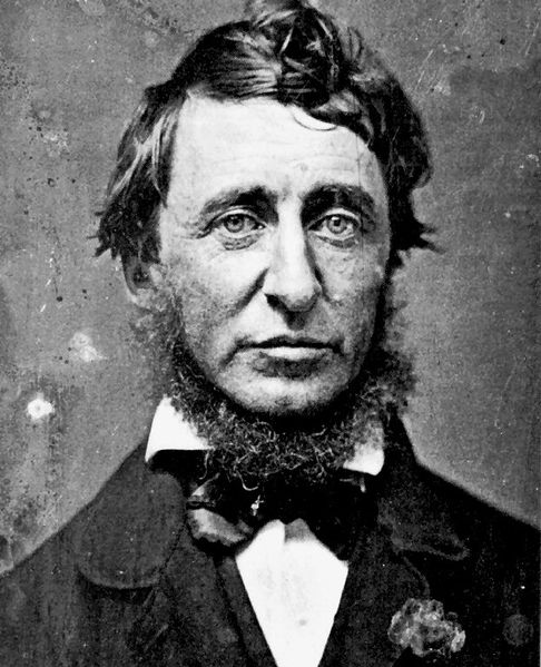 Henry David Thoreau image