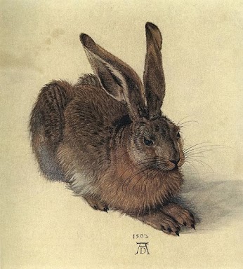 A Young Hare (by Albrecht Durer) (image)