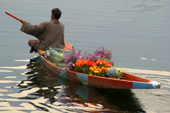 Flowers, Srinagar, Kashmir image