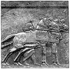 Assyrian wall relief at Nineveh image